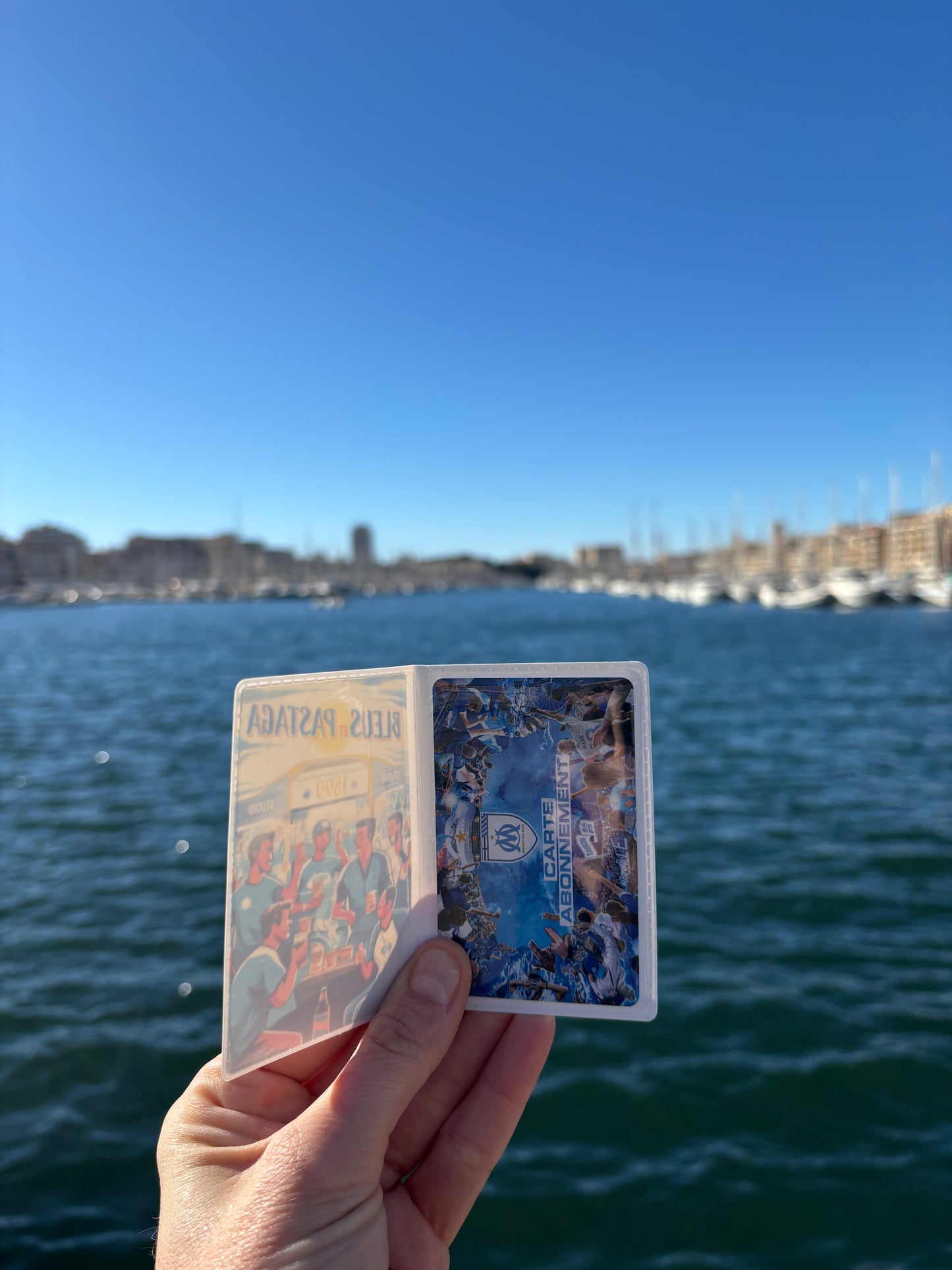 Porte-cartes "Bleus et Pastaga"